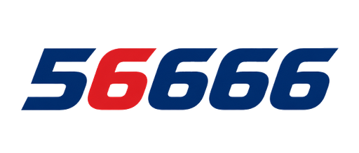56666det.info Logo